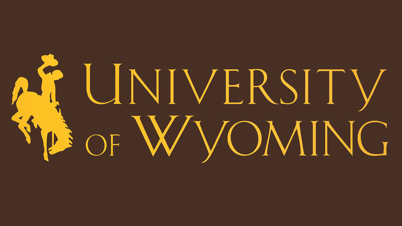 UW banner